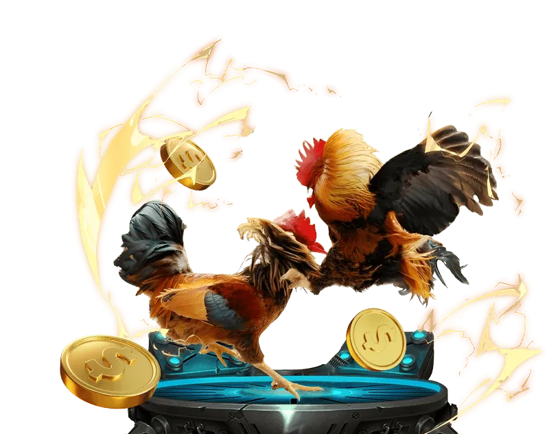 Tầm nhìn của f8best